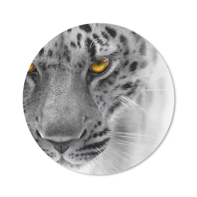 Produktbild von MuchoWow® Mauspad Mousepad Leopard - Augen - Schwarz - Weiß 20x20 cm - Mousepads - Maus Mat - Pad - Mausunterlage - Schreibtischmatte