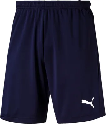 Produktbild von Puma Fußball Liga Training Shorts Fußballshorts Herren navy Gr S