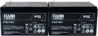 Image de Batterie de remplacement pour FIAMM APC Smart-UPS SUA1000I