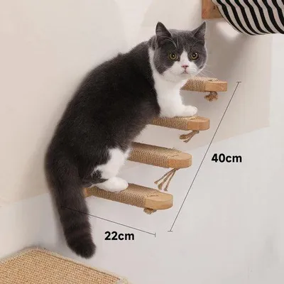 Produktbild von Katzenkletterwand, Klettergerät, Wandpolster, bis 10 kg, Juteseil