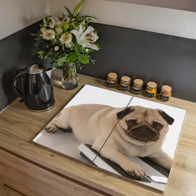 Zdjęcie produktu dla Dwuczęściowa osłona kuchenki Banjado, każda o wymiarach 30 x 52 cm, z gumowymi podkładkami dystansowymi, szkło bezpieczne ESG z motywem mopa [HAP2 10032]