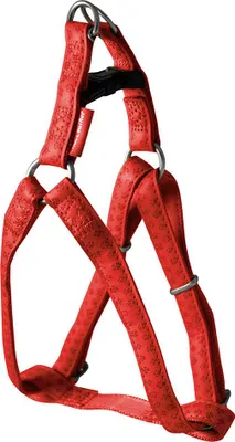 Image de Harnais pour chien Nayeco Mac en cuir rouge 25 mm x 60-100 cm Rouge 25 mm x 60-100 cm