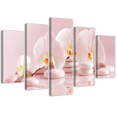 Obrázek produktu pro pětidílné nástěnné plátno orchidej na kamenech 100x70 cm Feeby růžová nástěnná malba připravená k zavěšení
