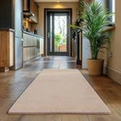 A hallway with a rug and a potted plant.