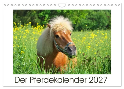 Produktbild von Der Pferdekalender (Wandkalender 2027 DIN A4 quer), CALVENDO Monatskalender