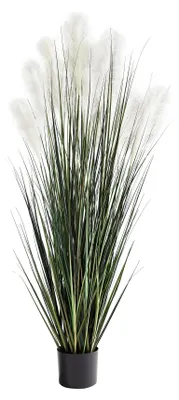 Produktbild von aplanta Künstliches Pampasgras – Aurelius | 152 cm, für drinnen, Kunstpflanze, wie echt, Allergiker geeignet, pflanzliche Dekoration Praxis, Office & Wohnzimmer