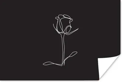 Produktbild von MuchoWow® Poster Blume - Rose - Schwarz - Weiß 30x20 cm - Plakate - Print