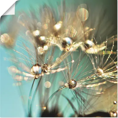 Produktbild von ARTland Poster Pusteblume glänzendes Gold Größe: 50x50 cm