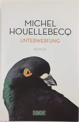 Produktbild von Unterwerfung