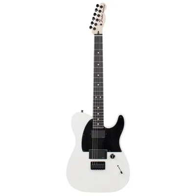 Produktbild von Fender Jim Root Telecaster Flat White E-Gitarre