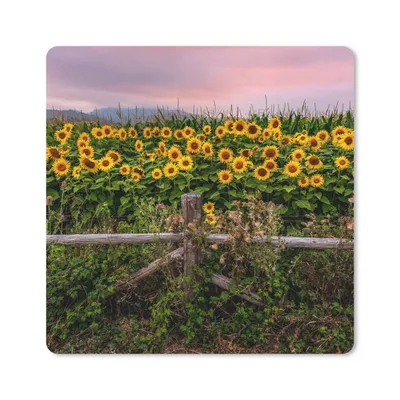 Produktbild von MuchoWow® Mauspad Mousepad Sonnenblume - Blumen - Pflanzen 30x30 cm - Mousepads - Maus Mat - Pad - Mausunterlage - Gaming