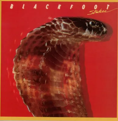 Obrázek produktu pro Blackfoot: Blackfoot: (Limited Collectors Edition) (Remastered & Reloaded) - - (CD / S)