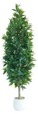 Produktbild von Künstlicher Lorbeerbaum, lebensechte Erscheinung, einfache Pflege, Weißer Topf, 150cm