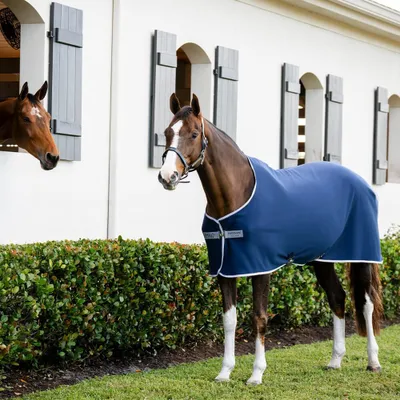 Image de Horseware Amigo Jersey Cooler - Taille 155 - Bleu