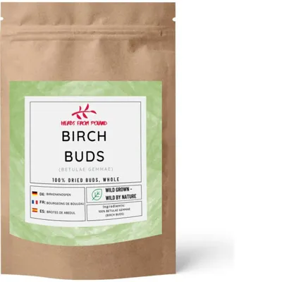 Produktbild von Herbs from Poland Birkenknospen – Unterstützt Harnwege, Entzündungshemmend, Fördert Entgiftung & Hautgesundheit, 100% Natürlich – 500g