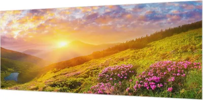 Zdjęcie produktu dla Tapeta ścienna – tapeta dekoracyjna do salonu – folia tapetowa do dekoracji ścian – 208 x 146 cm – Bergwesten