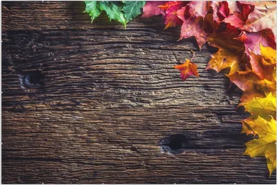 Produktbild von Wallario Wandbild Herbstblätter auf altem Holz, Größe: 61 x 91,5 cm, Poster mit rahmenlosen Bildhalter