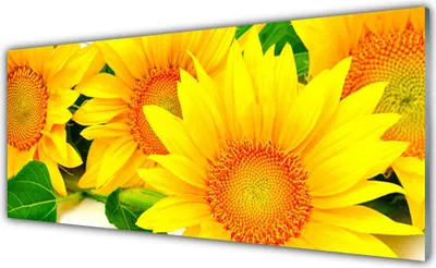 Produktbild von Acrylglasbilder 125x50 Wandbild Druck Sonnenblumen Pflanzen