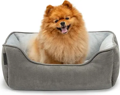 Produktbild von lionto Hundebett – 2-in-1 Wendekörbchen, weich gepolstert & pflegeleicht, mit tiefem Einstieg, 60x50 cm, hellgrau/dunkelgrau