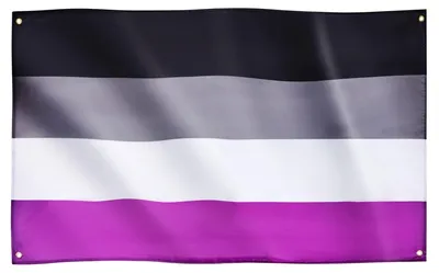 Productafbeelding van Aseksuele Vlag, 91x152 cm, Polyester, 4 Oogjes, LGBTQ+