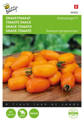 Produktbild von Snacktomate Dattorange F1 | Snacktomatensamen von Buzzy Seeds