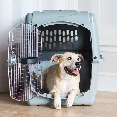 Produktbild von Hunde-Reisekoffer Transporttasche für Hunde