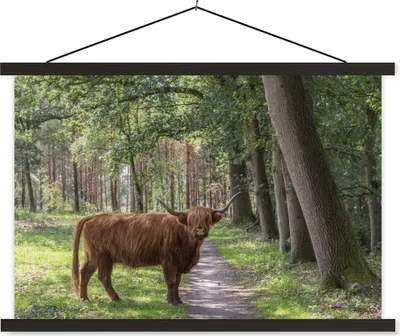 Produktbild von MuchoWow® Textilposter Schottisches Hochlandrind - Kröte - Baum 120x80 cm mit schwarzem Rahmen - Wanddeko