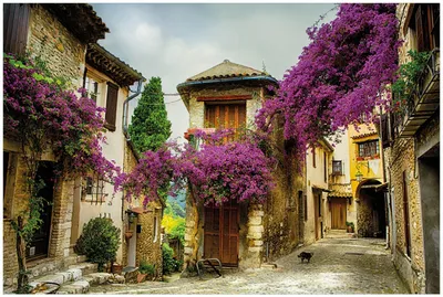 Produktbild von Wallario Premium Glasbild, freischwebende Optik, kräftige Farben, Größe 90 x 60 cm Motiv Malerische Stadt in der Provence mit bunten Blumen