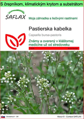 Obrázok produktu pre SAFLAX Garden to go - pastierska kabelka - Capsella bursa-pastoris - 1000 Semená - S črepníkom, klimatickým vekom a pestovateľským substrátom