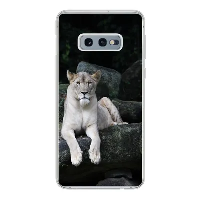 Produktbild von MuchoWow® Handyhülle Schutzhülle Hülle für Samsung Galaxy S10e Löwe - Wilde Tiere - Porträt Silikon Softcase Handy Hülle - Handy