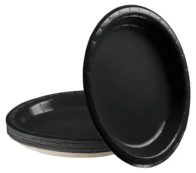 16 Schwarze Pappteller 17,8 cm Einweg Dessertteller
