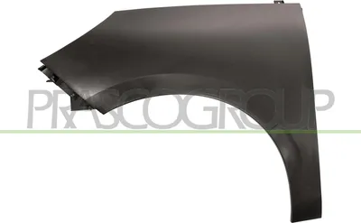 Produktbild von PRASCO RN0383004 Kotflügel Vorne Links für RENAULT Scénic III (JZ0/1)