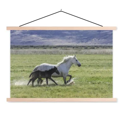 Produktbild von MuchoWow® Textilposter Pferde - Fohlen - Braun 60x40 cm mit holzfarbenen Rahmen - Bilder