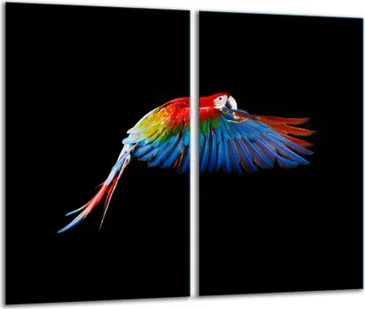 Produktbild von Herdabdeckplatten 2 teilig 30x52 Glaskeramikfeld Abdeckung Glas Papagei