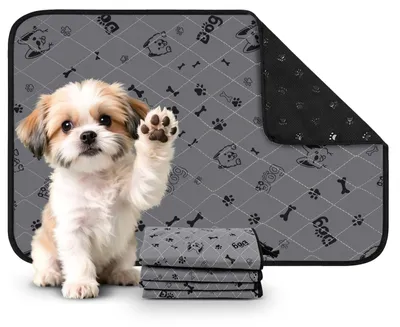 Produktbild von Omgoods – Set aus 2 waschbaren Hundematten, 40 x 60 cm