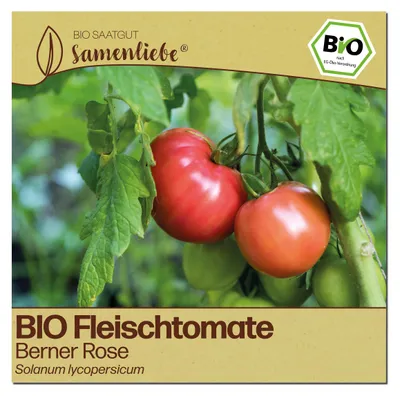 Produktbild von Samenliebe Tomate Samen | Berner Rose - rosa & sehr aromatisch - samenfestes Saatgut
