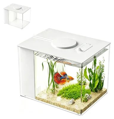 Mini-Aquarium 4,3 l Acryl mit Filter & LED, 20x15x15 cm, weiß