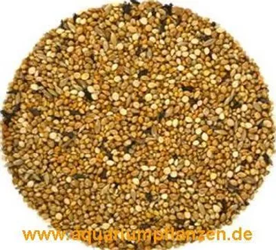 Produktbild von 5 kg Exotenfutter, Vogelfutter, Futter, Vögel