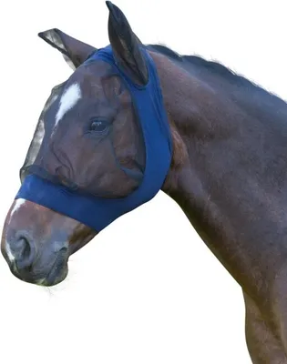 Immagine prodotto di KERBL FinoStretch maschera a mosca, blu, pony