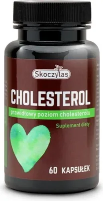 Image de Métabolisme du cholestérol et des lipidesů Skoczylas