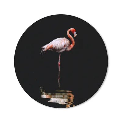 Produktbild von MuchoWow® Mauspad Mousepad Zwei Flamingos stehen im Wasser 20x20 cm - Mousepads - Maus Mat - Pad - Mausunterlage - Schreibtischmatte