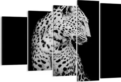 Produktbild von Bild auf Leinwand - Leinwandbild - 5 Teile - Leopard Panther Katze - 150x100cm - Wand Bild - Wanddeko - Wandbilder - Leinwanddruck - Bilder - Wanddekoration - Leinwand bilder - EG150x100-4919