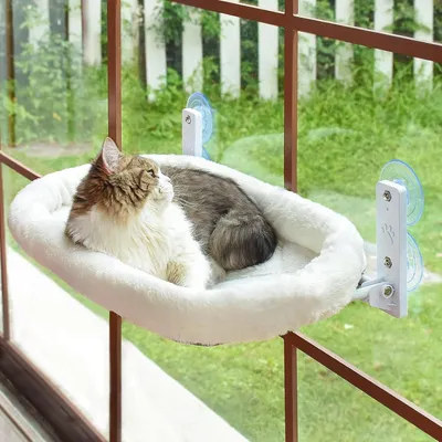 Produktbild von Katzenhängematte Fenstersitze für Katzen 60 x 30 cm klappbares Katzenbett Fenster mit stabilen Saugnäpfen bis 18 kg, Grau (Weiß, 30 x 60 cm)