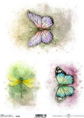 Image de Papier de riz pour découpage, aquarelle, papillons colorés, libellule ITD-R1606 - A4