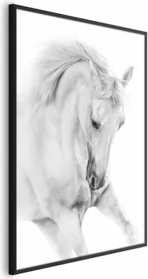 Produktbild von Posterpapier Poster - White Horse 21x30 cm Tiere g-B-0110-ao-a