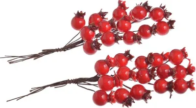 Immagine prodotto di rosa selvatica 30pz | 162CAN6-844