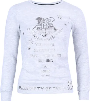 Produktbild von HARRY POTTER HOGWARTS Graue Bluse, langärmelig L