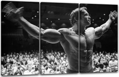 Produktbild von Leinwandbild 3-teilig (120x80cm): Arnold Schwarzenegger in Siegerpose Arme hebend peitscht Publikum an, echter Holz-Keilrahmen inkl. Aufhänger, handgefertigt in Deutschland