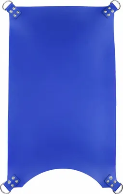 Imagen del producto de Correa de cuero azul de 4 puntos