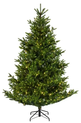 Produktbild von Kaemingk Everlands Nordmann Tanne LED